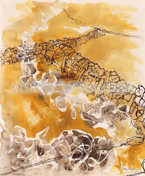 Connemara Stone Walls