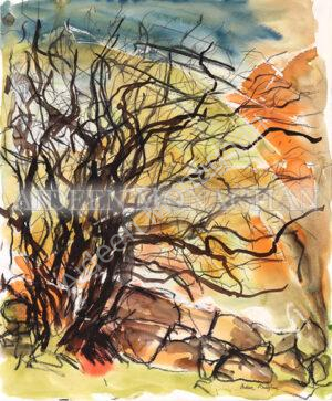 Fairy Tree Connemara - Aideen Monaghan