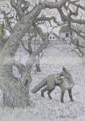 Apple Tree and Fox, Giclée Print on Fine Art Paper , 38 x 53cm