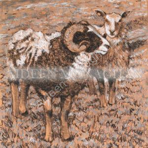 Ram and Ewe, Charcoal and Chalk on Paper