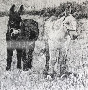 Two Donkies